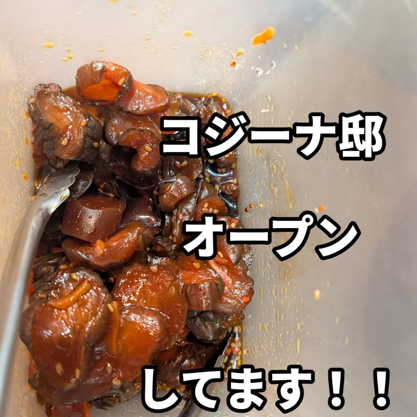 おはようございます