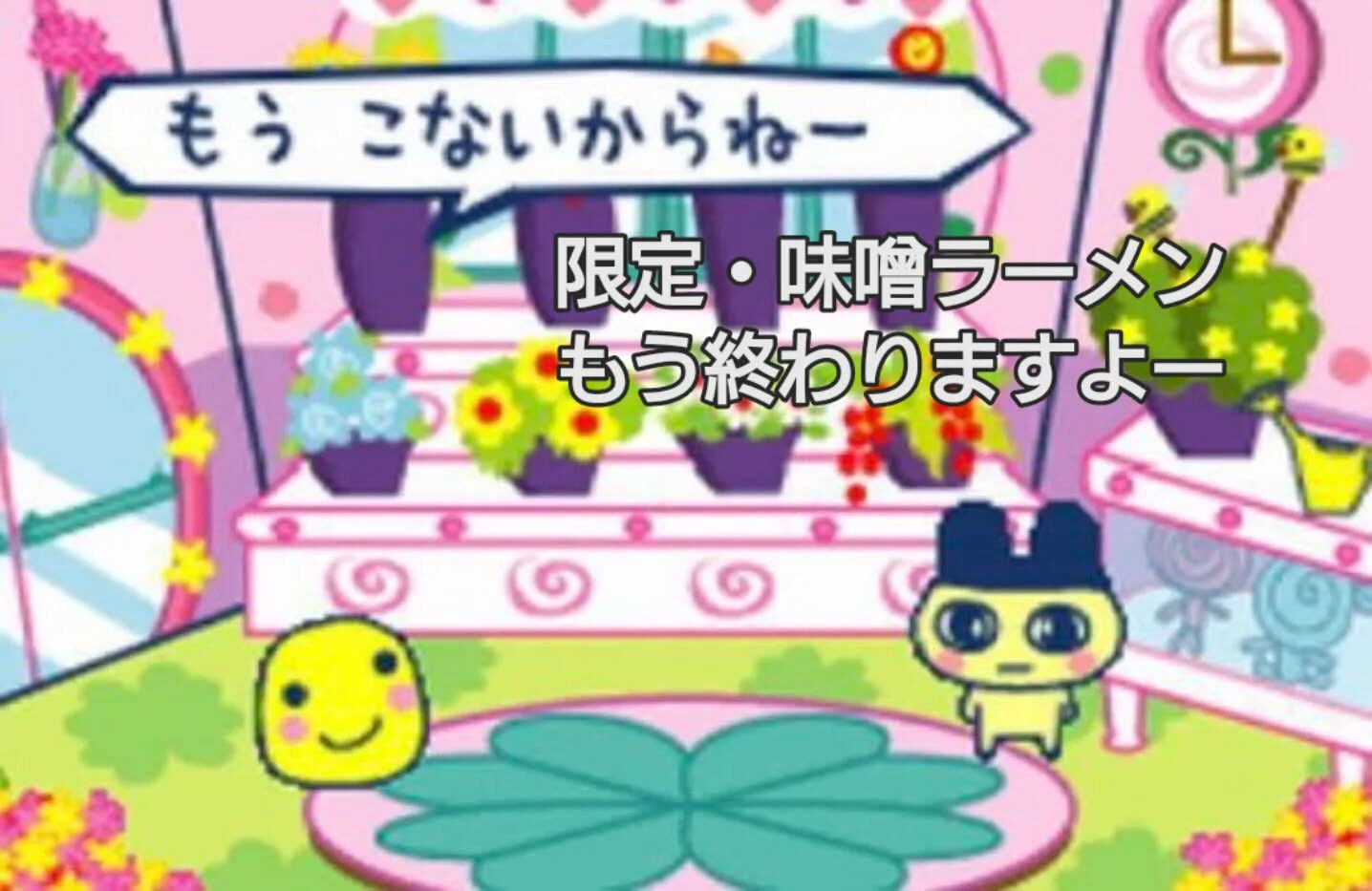 おはようございます